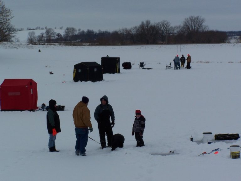 080613034837 100 1987 768x576