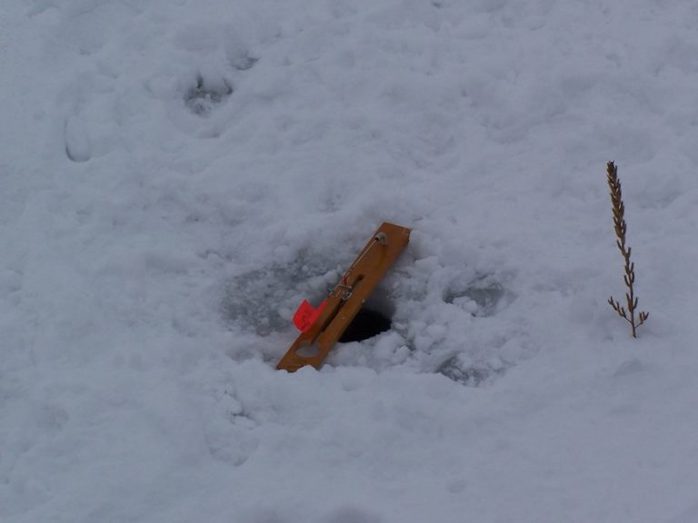 080613034840 100 1988 768x576