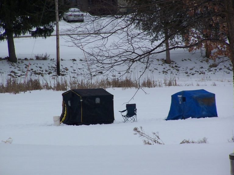 080613034844 100 1992 768x576