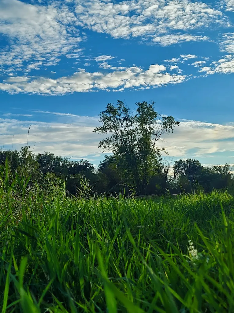 Monticello Trailhead 4