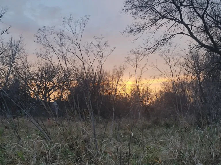 Monticello Trailhead 5 768x576