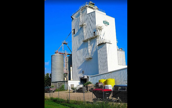 Risley Pellet Solutions